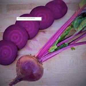 Ruby Queen Beet Seeds - Vegetable Seeds - BOGO